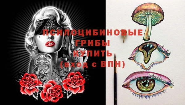 спиды Заводоуковск