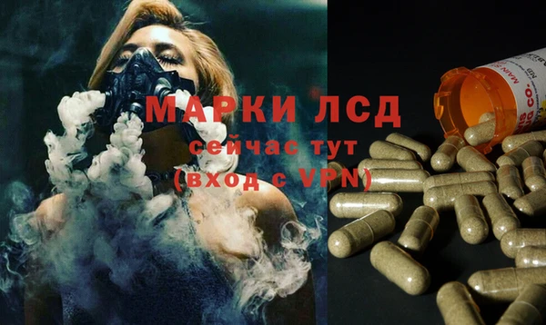 спиды Заводоуковск