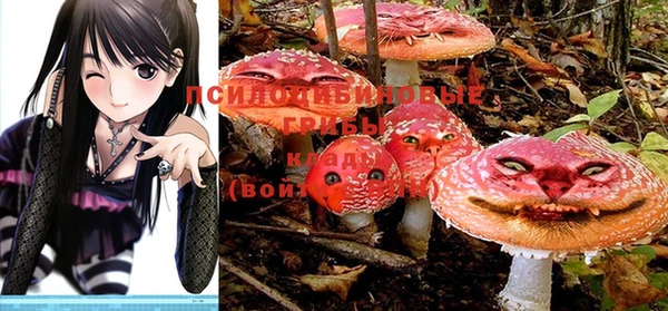 марки nbome Зеленокумск